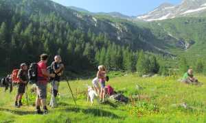 IMG 86481