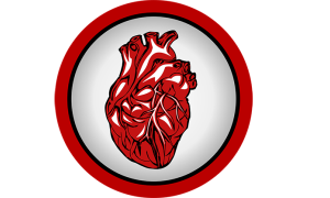 cuore medicina