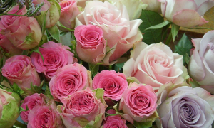 fiori