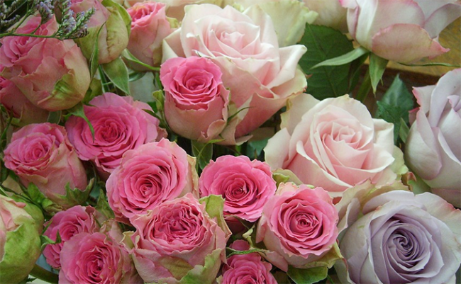 fiori