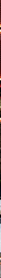 IFAN Fusion Restaurant apre la seconda sede: sushi di qualità e pesce tracciabile nel cuore dell’Ossola
