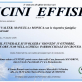 Vicini Effisio