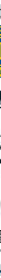 Partecipazione Lions Borgomanero