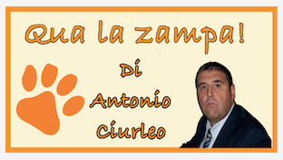 Schermata 2021 03 07 alle 11.00.00