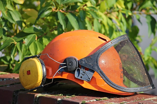 casco edilizia